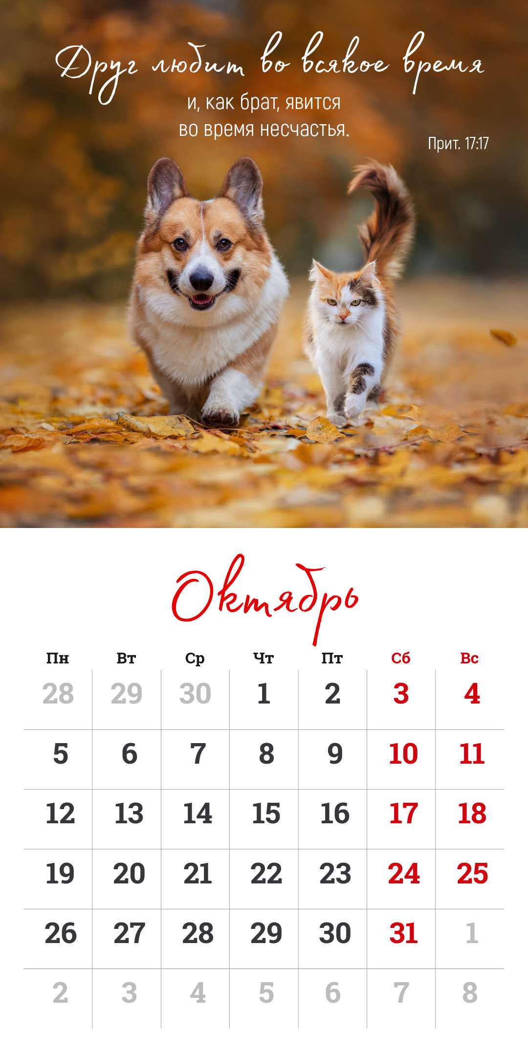 Календарь перекидной на скрепке на 14 страницах на 2026 год 30*30 см (большой) "Мудрость Божьего творения"