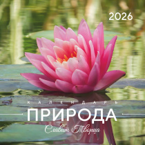 Календарь перекидной на скобе "Природа славит Творца"  на 29*29 см на 2026 (планер) на 12 листах