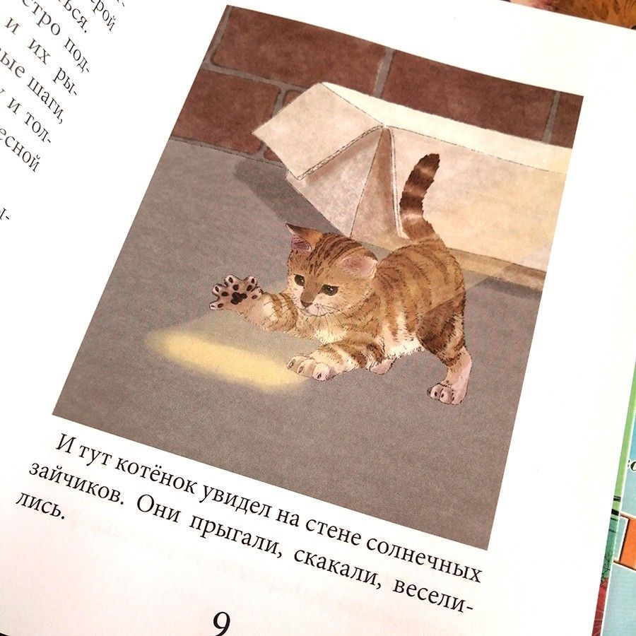 Тигруша. Расказы для детей 5+. Большой формат, красочные картинки