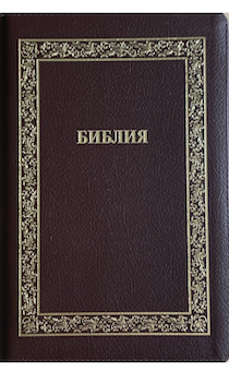 Библия 076z код B2,  дизайн "золотая рамка растительный орнамент", кожаный переплет на молнии, цвет коричневый пятнистый, размер 180x243 мм